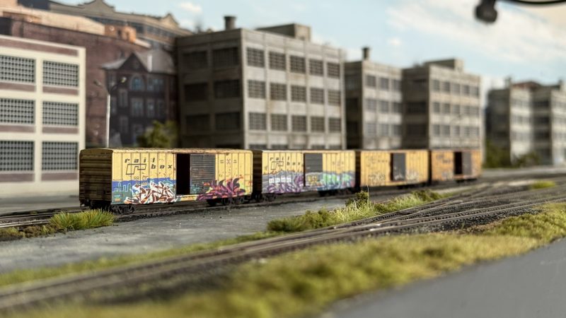 IMG_3031