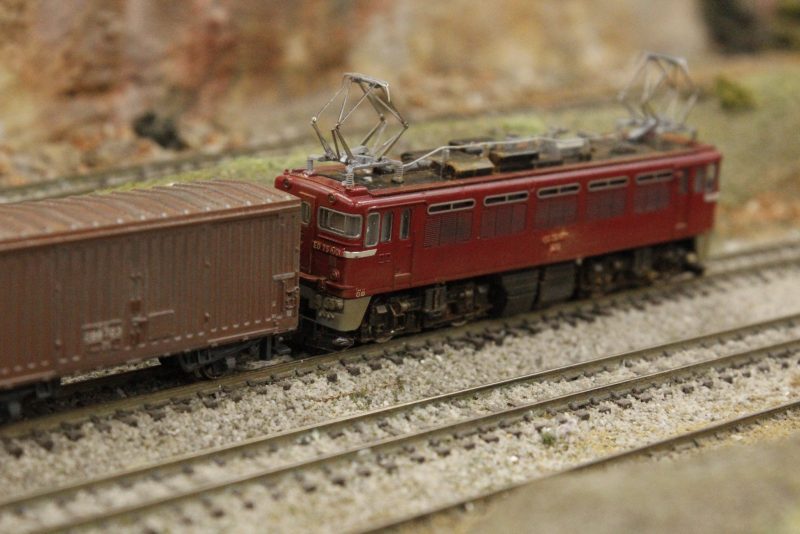 56157896_2340937412791941_6598293231039938560_n_2340937409458608