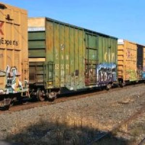 Profile photo of ChooChooKustomz