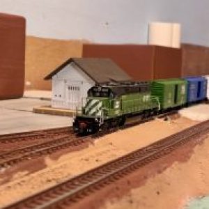 Profile photo of Sheldonstrains