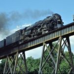 Profile photo of Dragon52