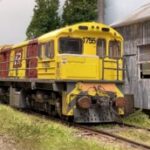 Profile photo of Mitch