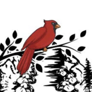 Profile photo of CardinalRiverModels