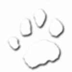 Profile photo of CatzPaw164