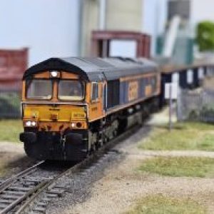 Profile photo of Shed_spotter_66
